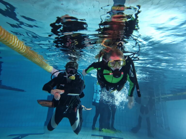 Weefine-2023-01-15-1611354020