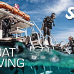 Boat Diving