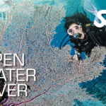 Zdobądź certyfikat SSI Open Water Diver - Scuba Schools International