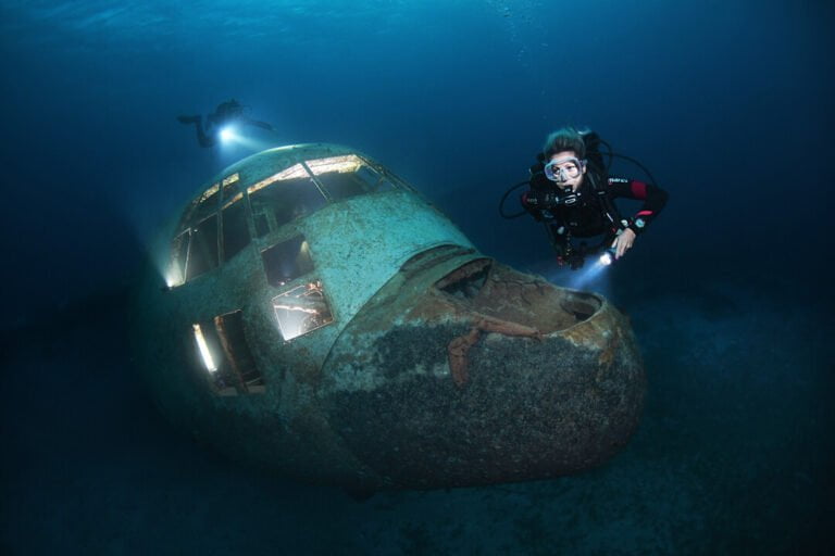 Presentation-Dive Image-135