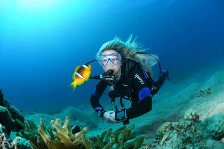 Presentation-Dive Image-49