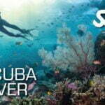 Scuba Diver