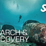 Search & Recovery