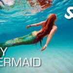 Try Mermaid