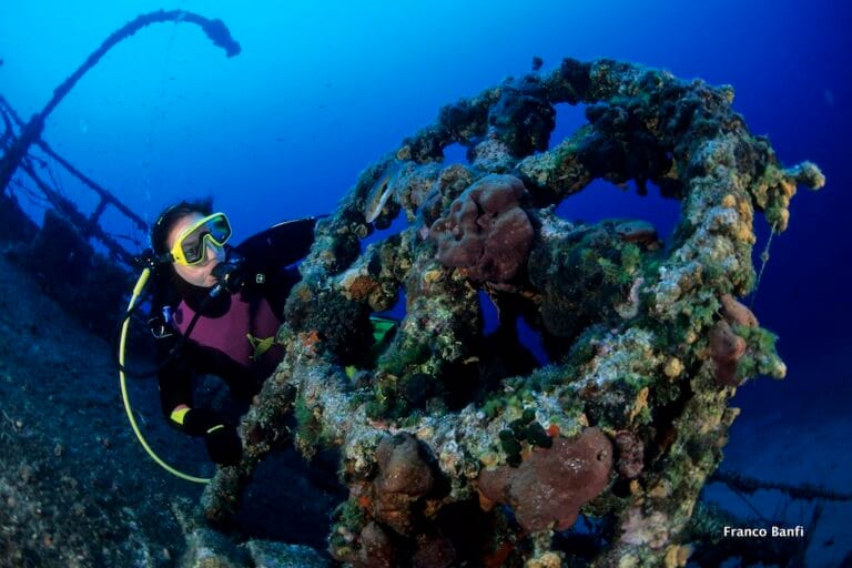 scuba diver looking the rudder of Teti wreck, Vis island, Croatia, Adriatic Sea, Mediterranean