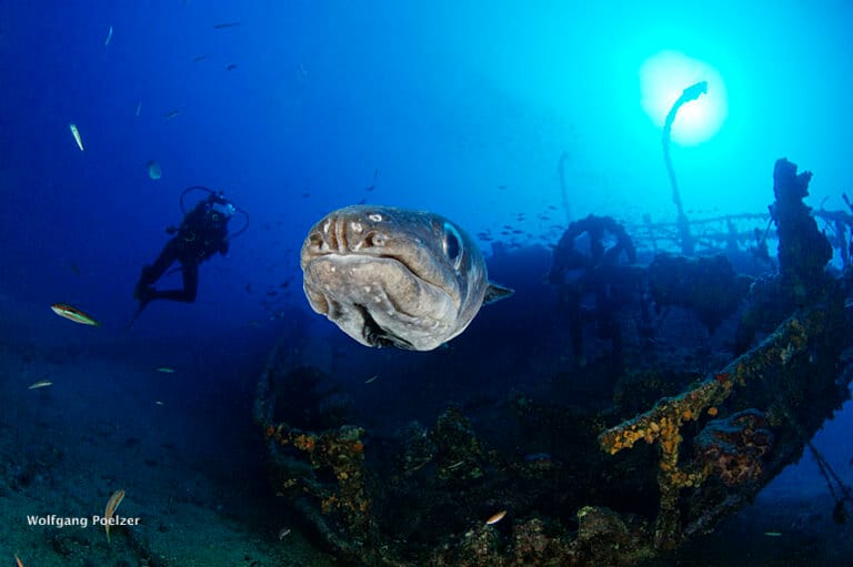 Teti wreck,Vis island, Croatia, Adriatic Sea,