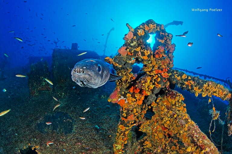 Teti wreck,Vis island, Croatia, Adriatic Sea,