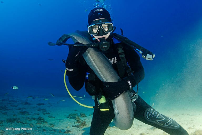 Teti wreck,Vis island, Croatia, Adriatic Sea,